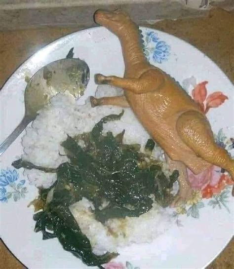 Tinolang DINOSAUR kasi ang ulam hahahahha .